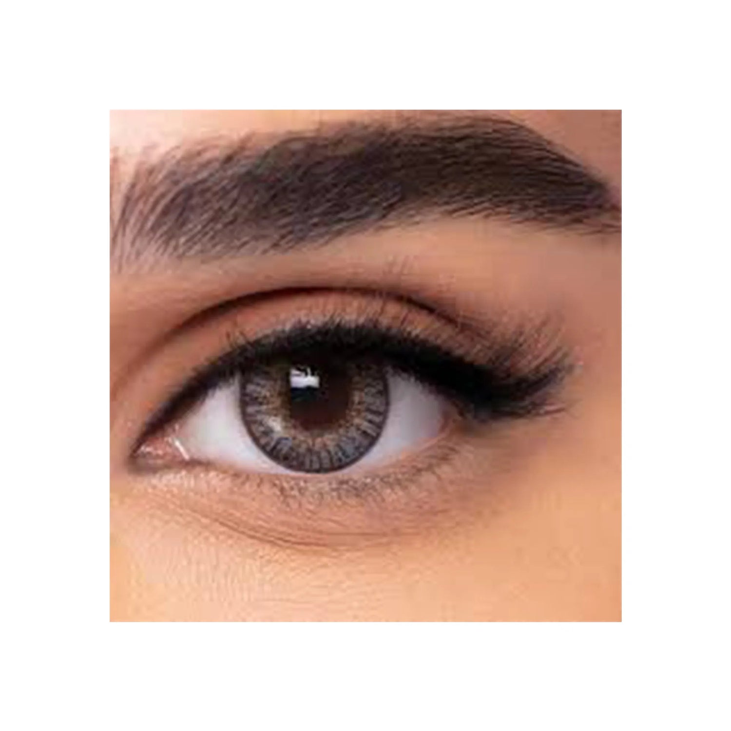 Freshlook One Day Colored Lenses - Gray 5 Pairs