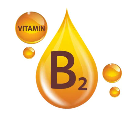 Vitamin B
