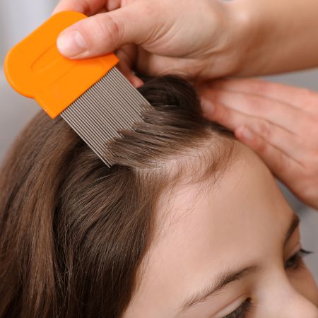 Anti Lice