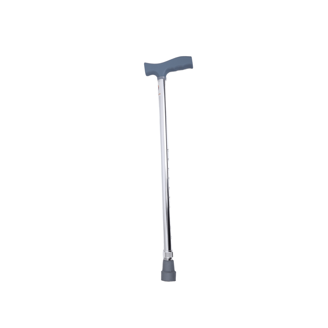 Waking Stick Bright colour QK920L ���DY199 Qattan